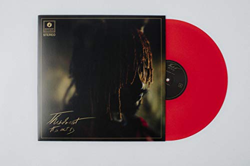 Thundercat It Is What It Is (Colored Vinyl, Red, 140 Gram Vinyl, Photos) - (M) (ONLINE ONLY!!)