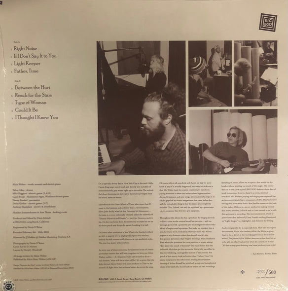 Alicia Walter - Right Noise (LP) (M)20