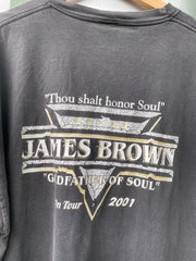 Vintage Y2K James Brown 2001 Tour Tee (XL)
