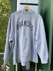 Vintage Y2K Brandeis Reverse Weave Hoodie (XL)