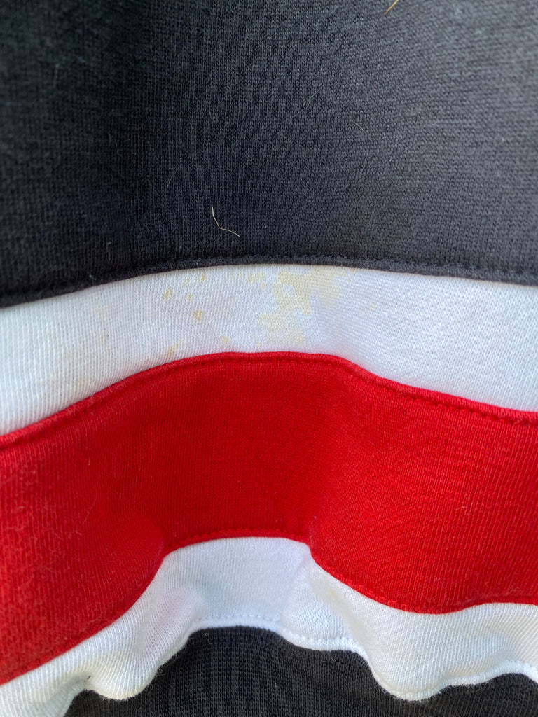 Vintage 90s Dale Earnhardt Sweatshirt (M)