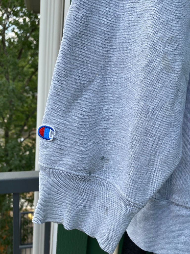 Vintage Y2K Brandeis Reverse Weave Hoodie (XL)