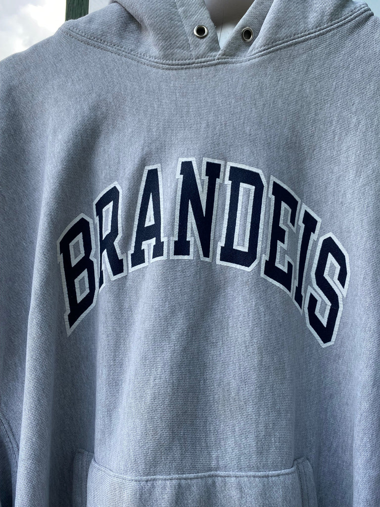 Vintage Y2K Brandeis Reverse Weave Hoodie (XL)