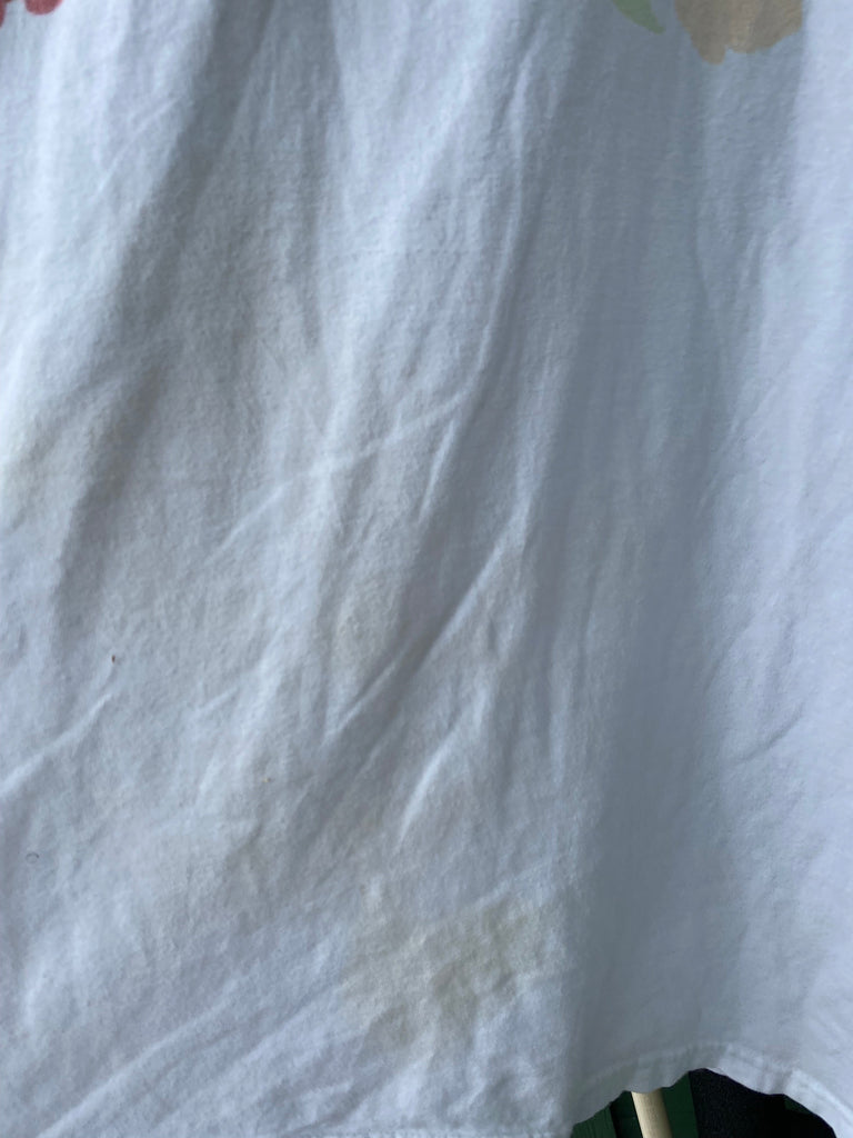 Vintage Fadede 90s Sierra Madre Rose Float Tee (XL)