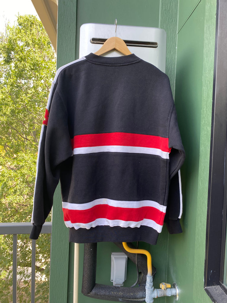 Vintage 90s Dale Earnhardt Sweatshirt (M)