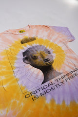 Critical Thinking - Tie Dye