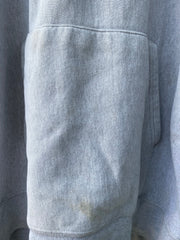 Vintage Y2K Brandeis Reverse Weave Hoodie (XL)