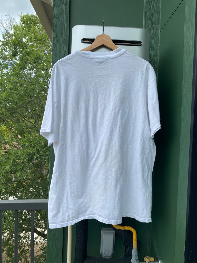 Vintage Fadede 90s Sierra Madre Rose Float Tee (XL)