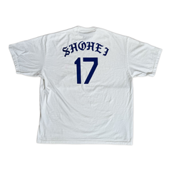 DESIGNATED HITTER