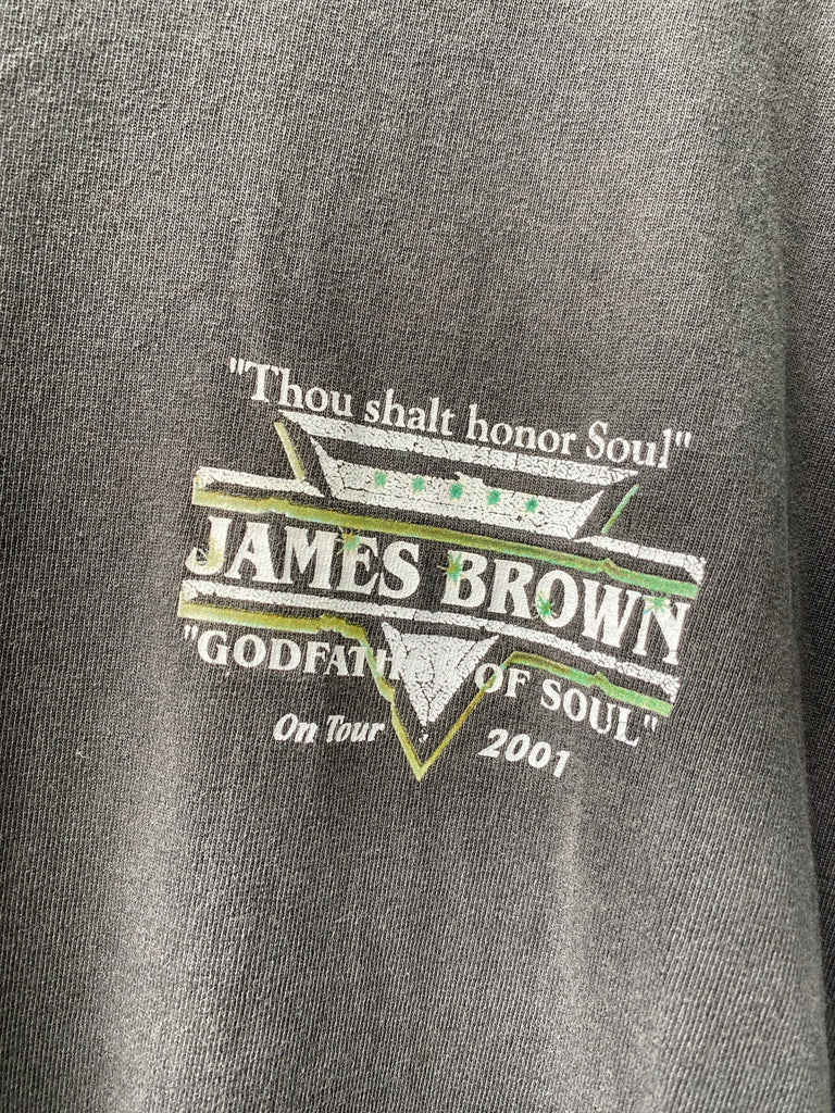 Vintage Y2K James Brown 2001 Tour Tee (XL)