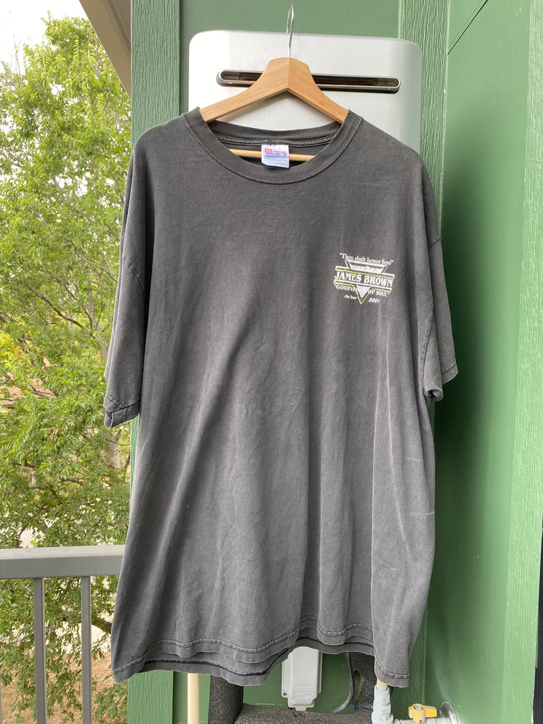 Vintage Y2K James Brown 2001 Tour Tee (XL)