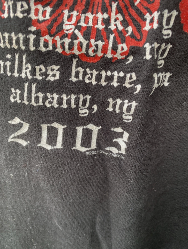 Vintage Good Charlotte Band 2003 The Young And The Hopeless Tour Shirt Size L