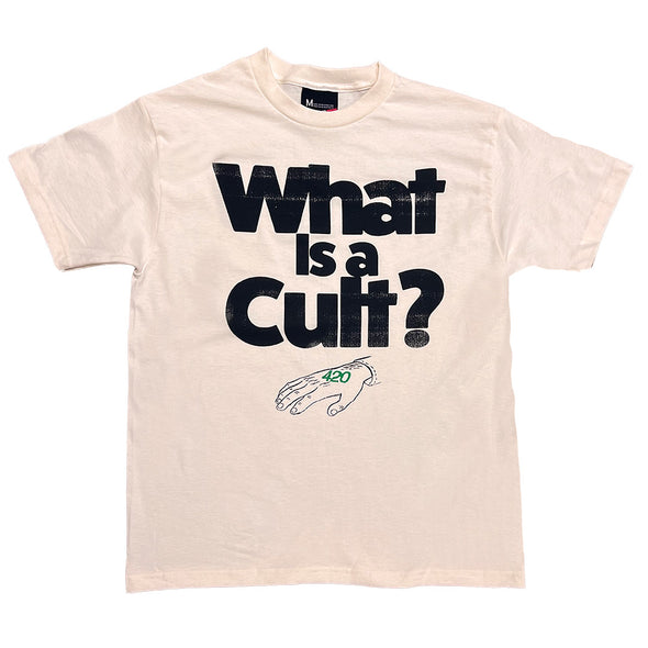 What Is A Cult?