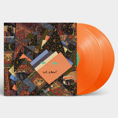 Animal Collective - Isn't It Now? (Limited Tangerine Edition) - LEVITATION