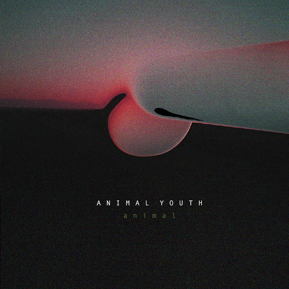 ANIMAL YOUTH Animal