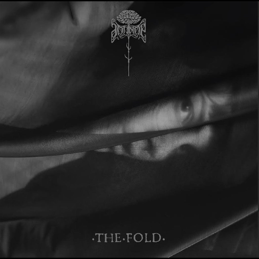 Antinoë The Fold
