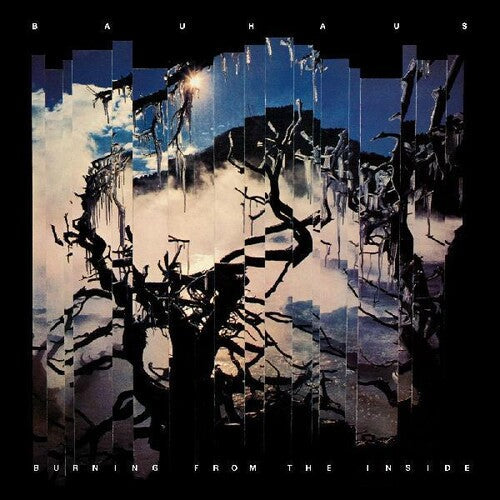 Bauhaus Burning From The Inside Feels So Good bauhaus-burning-from-the-inside-feels-so-good
