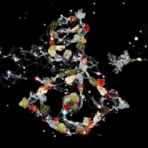 Bjork Biophilia