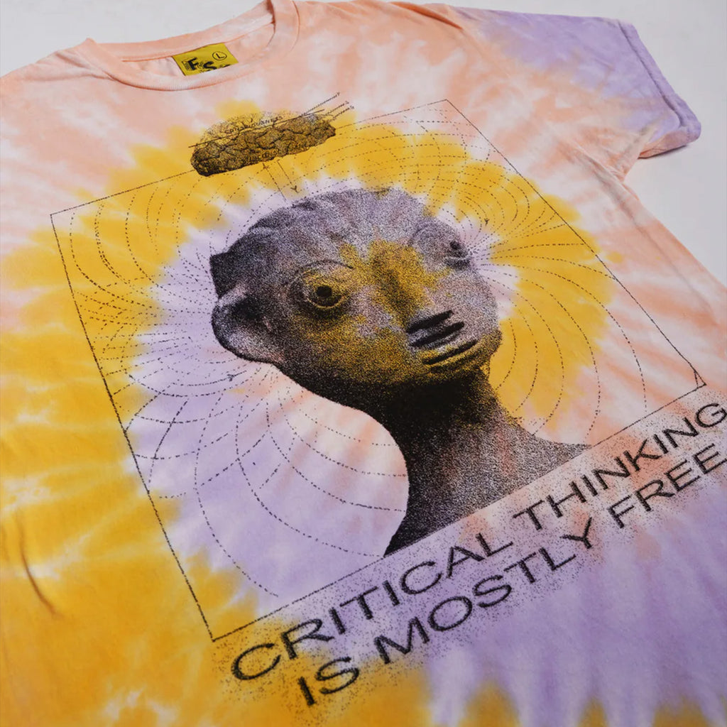 Critical Thinking - Tie Dye