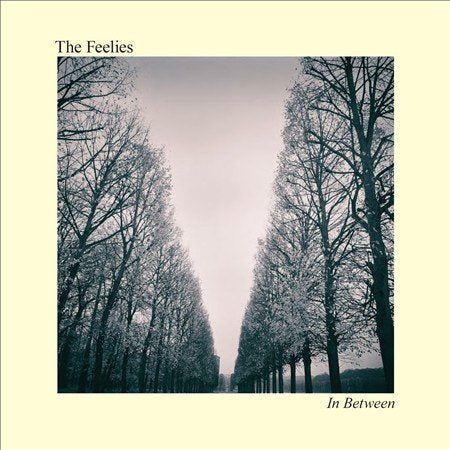 Feelies In Between (Digital Download Card)