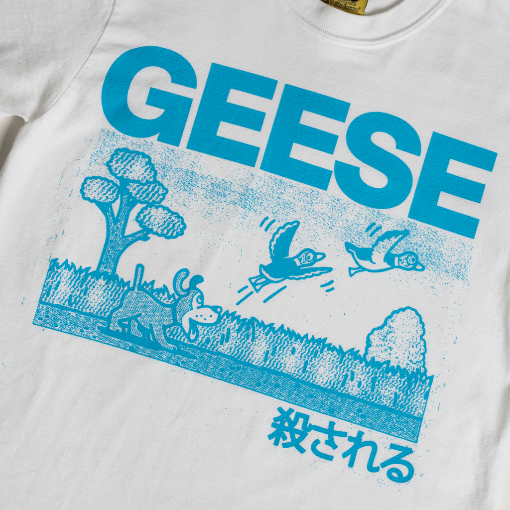GEESE