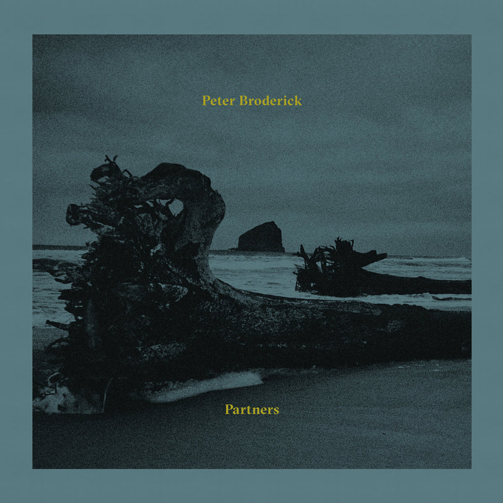 Peter Broderick Partners