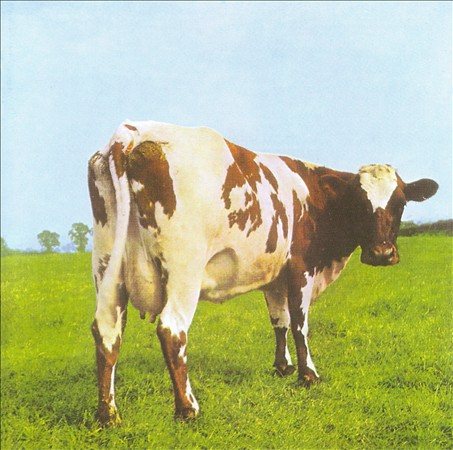 Pink Floyd Atom Heart Mother (Remastered,180 Gram Vinyl, Gatefold LP Jacket) - (M) (ONLINE ONLY!!)