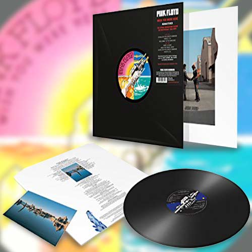 Pink Floyd Wish You Were Here (Remastered, 180 Gram Vinyl) - (M) (ONLINE ONLY!!)