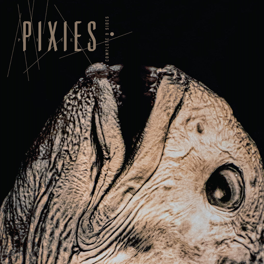 Pixies Complete B Sides: 1988-97 (Indie Exclusive, Clear Vinyl)