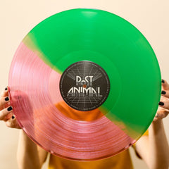 Post Animal - Levitation Sessions LP - LEVITATION