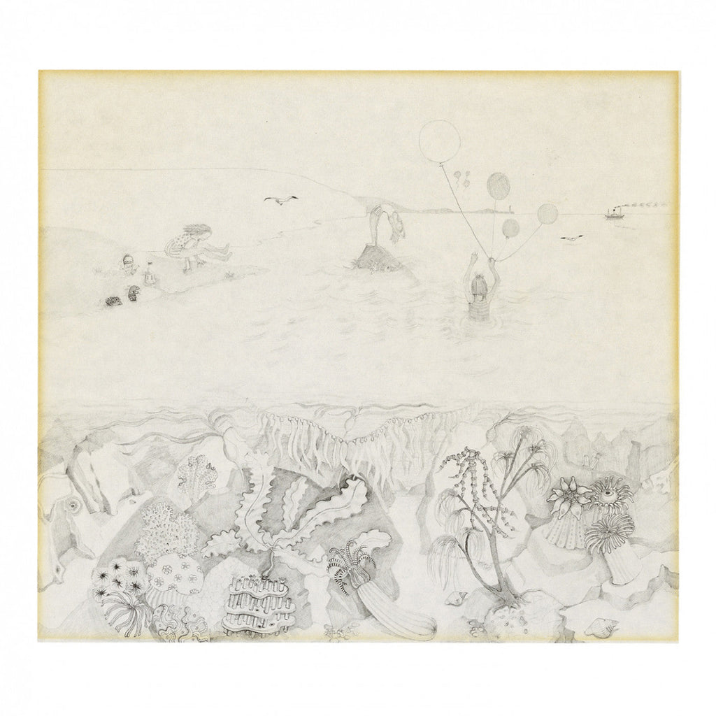 Robert Wyatt Rock Bottom [LP]