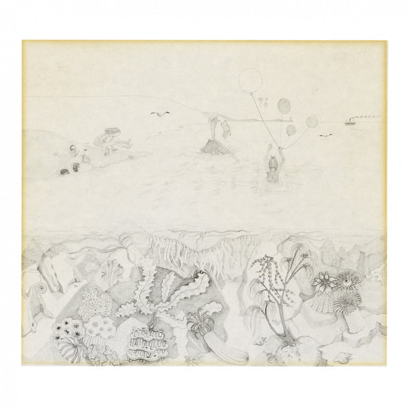 Robert Wyatt Rock Bottom [LP]