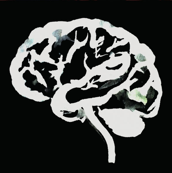 Ruins Brain Flakes (The Lost Combo Tapes)