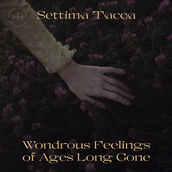 SETTIMA TACCA Wondrous Feelings of Ages Long Gone