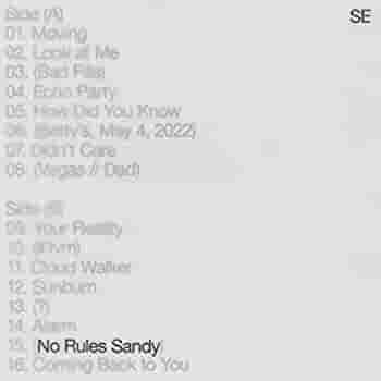 Sylvan Esso No Rules Sandy (Indie Exclusive, Limited Edition, Colored Vinyl) - (M) (ONLINE ONLY!!)