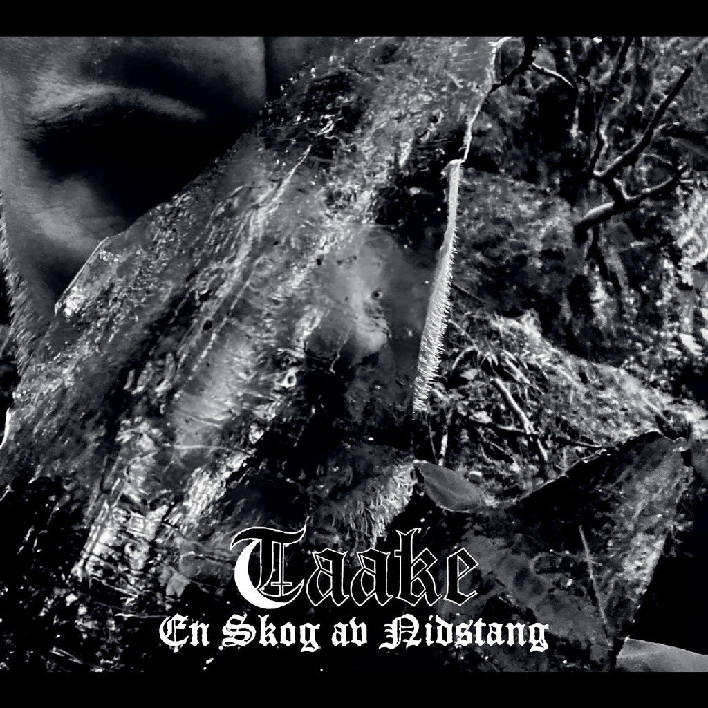 Taake En Skog Av Nidstang
