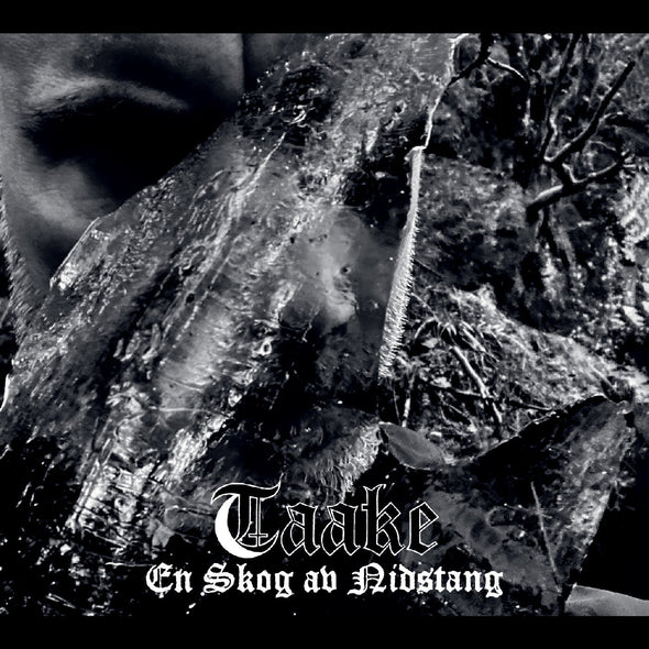 Taake En Skog Av Nidstang