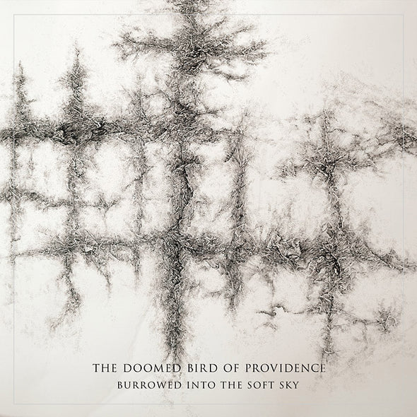 THE DOOMED BIRD OF PROVIDENCE Burrowed Into The Soft Sky