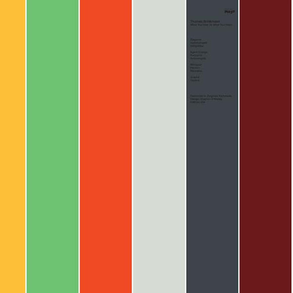 THOMAS BRINKMANN What You Hear (Is What You Hear)