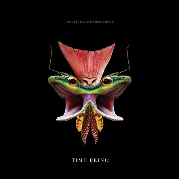 TONY BUCK & MASSIMO PUPILLO Time Being