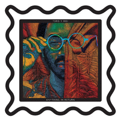 Toro y Moi - Anything In Return 2LP - LEVITATION