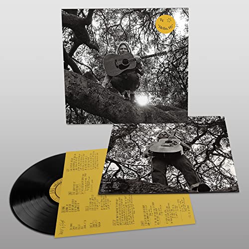 Ty Segall "Hello, Hi" - (M) (ONLINE ONLY!!)