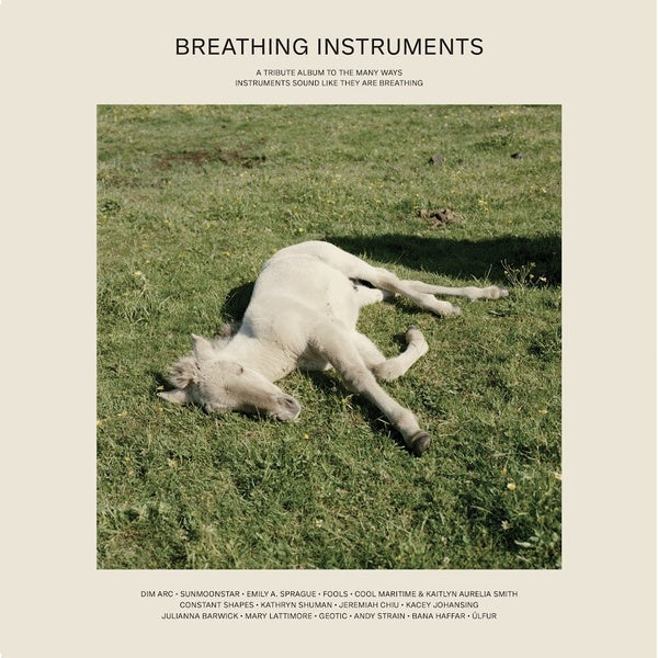 Va Breathing Instruments