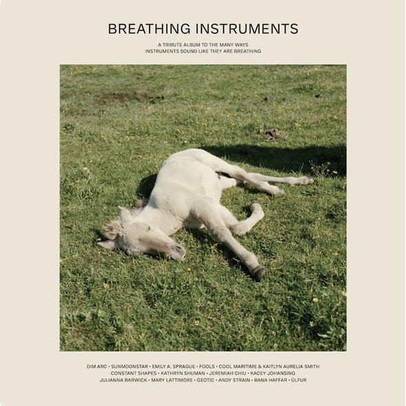 Va Breathing Instruments