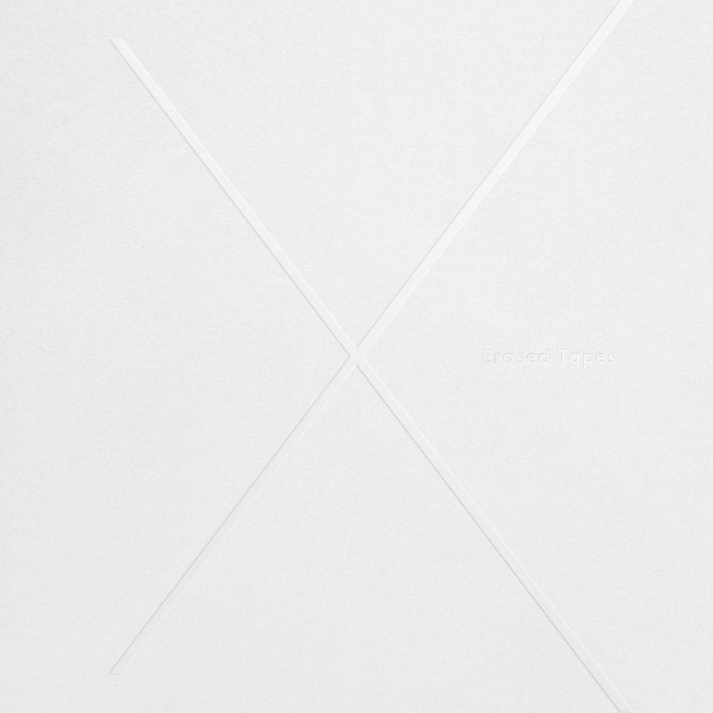Various Artists 1+1=X