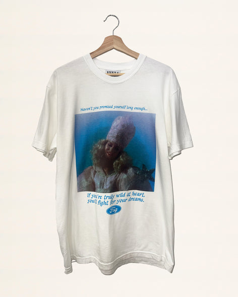 Fight For Your Dreams