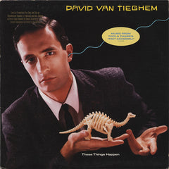 David Van Tieghem : These Things Happen (LP, Album)