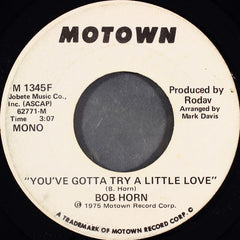 Bob Horn (6) : You've Gotta Try A Little Love (7", Mono, Promo)