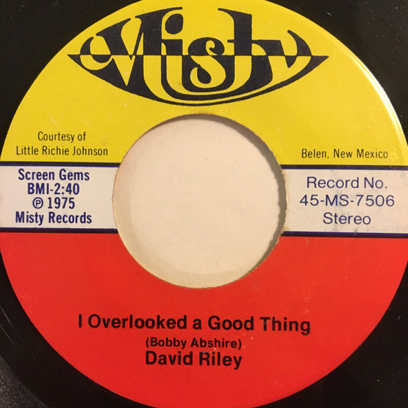 David Riley (9) : I Overlooked A Good Thing (7", Single)