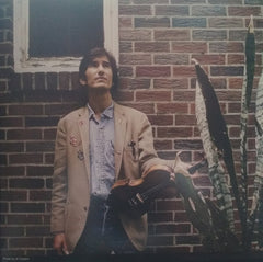 Townes Van Zandt : Sky Blue (LP, Album)